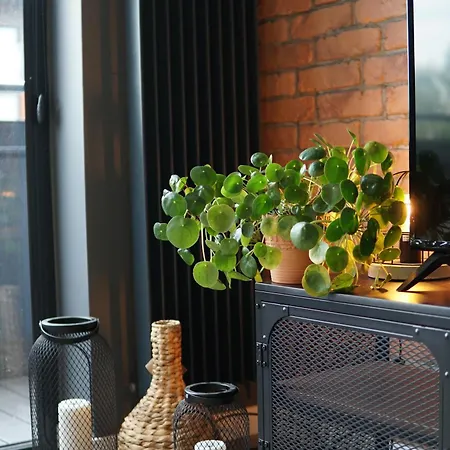 Panorama Loft Apartament Łódź