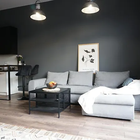 Panorama Loft Apartament Łódź